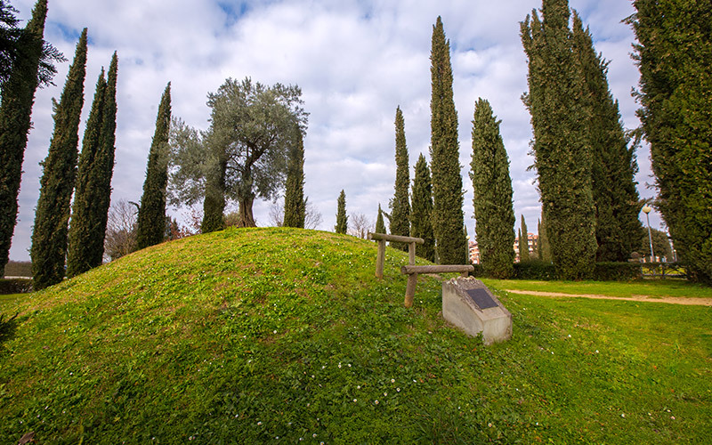 campaggio-ebrei-arezzo.jpg